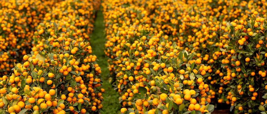 怎样才能明确诊断癫痫疾病?