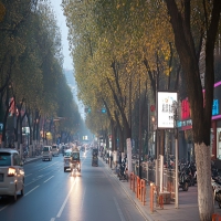 小孩睡梦惊醒是癫痫吗?