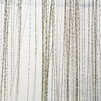 如何正确做好癫痫病人的日常护理?