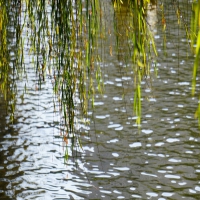 癫痫病人多吃含镁元素多的食物