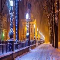 老年癫痫发作的注意事项有哪些?