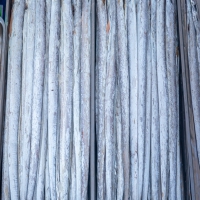 羊羔疯发作有哪些常见的症状呢?