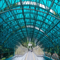 儿童青少年为什么容易得癫痫?