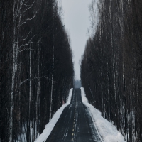 癫痫通过饮食方法能治好吗?
