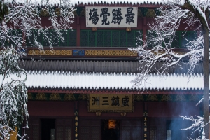 羊癫疯的日常护理措施都有什么呢?