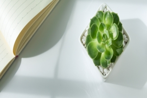 癫痫患者日常如何饮食好呢?