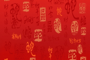 引起儿童癫痫的主要原因是什么?