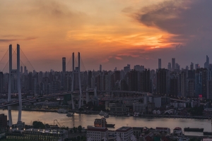 癫痫怎么吃比较健康?