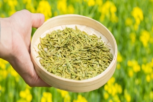 癫痫患者应该做好怎样的饮食保健?