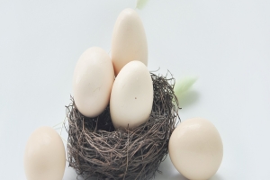 灰质异位癫痫手术后效果到底如何?