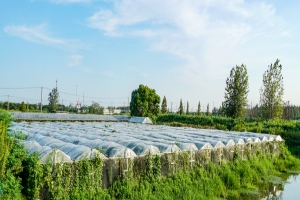 什么样癫痫患者适合做外科手术?