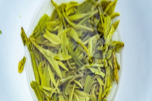 癫痫病的临床表现都有些什么呢?