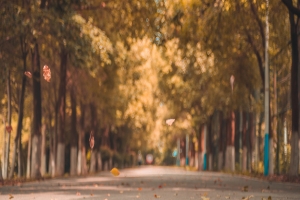 儿童癫痫的症状及治疗方法