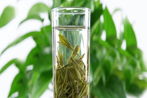 引发癫痫大发作的因素有哪些?